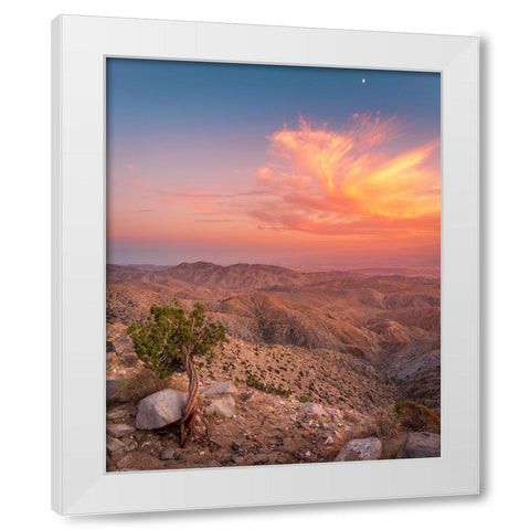 Desert Sunset White Modern Wood Framed Art Print by Iqbal, Syed