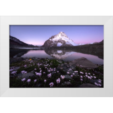 Dawn White Modern Wood Framed Art Print by Hao, Damon