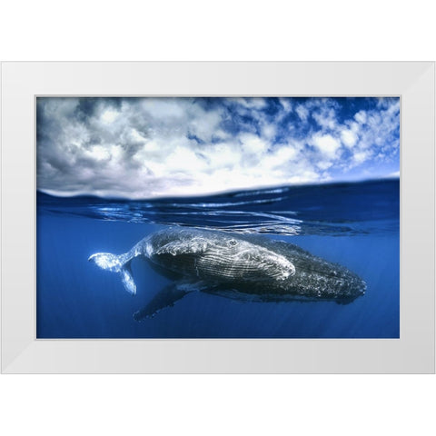 Between two worlds White Modern Wood Framed Art Print by Peneau, Cedric