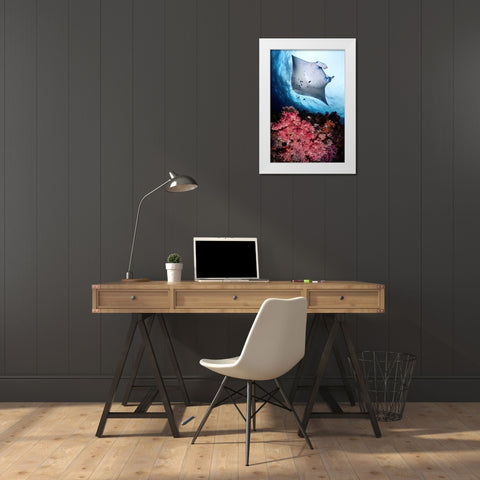 Manta and reef White Modern Wood Framed Art Print by Peneau, Cedric