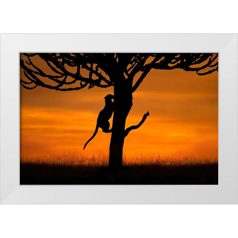 Back home White Modern Wood Framed Art Print by Ortega, Xavier