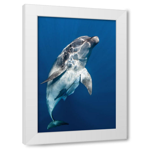 Hello you ! White Modern Wood Framed Art Print by Peneau, Cedric