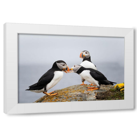 Trio White Modern Wood Framed Art Print by Fu, Molly