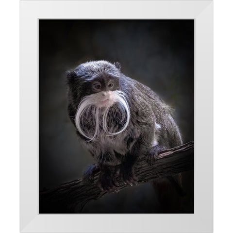 I Need A Trim White Modern Wood Framed Art Print by Mugg, Bill