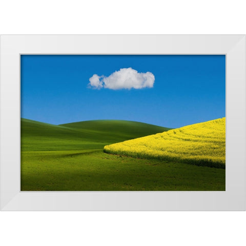 Field Tone White Modern Wood Framed Art Print by Xu, Tony