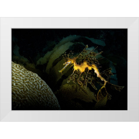 Mimicry White Modern Wood Framed Art Print by Ichinoseki, Sayaka