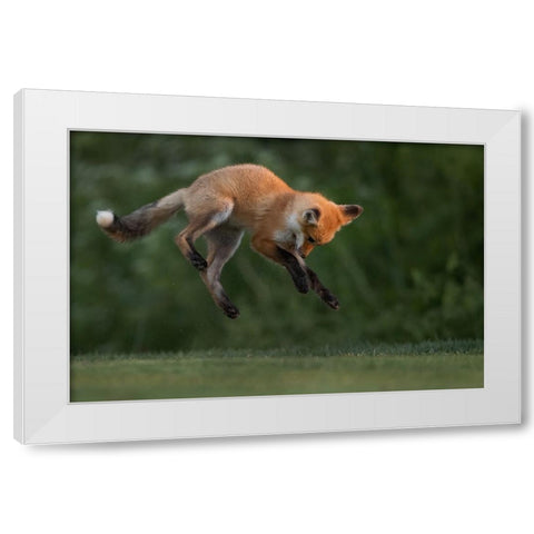 High Jumper White Modern Wood Framed Art Print by Lu, Bill
