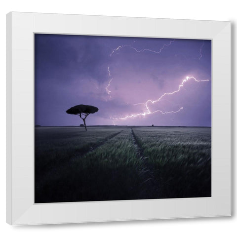 * White Modern Wood Framed Art Print by Zarys, Mindaugas