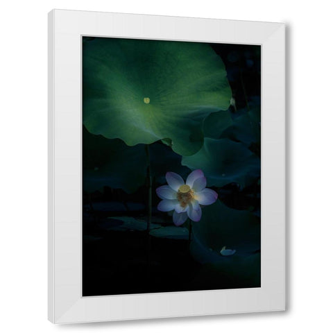 Comfort Zone! White Modern Wood Framed Art Print by Tseng, Judy