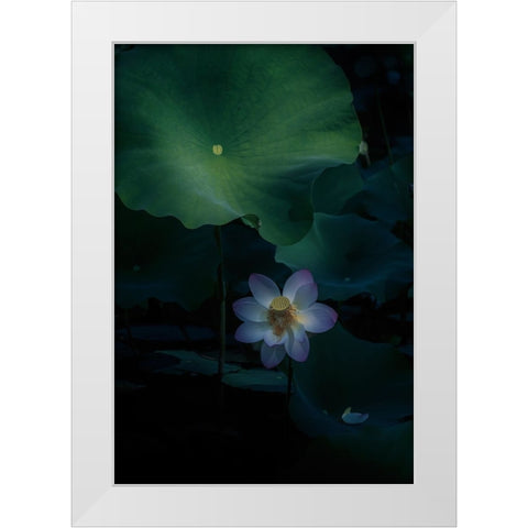 Comfort Zone! White Modern Wood Framed Art Print by Tseng, Judy