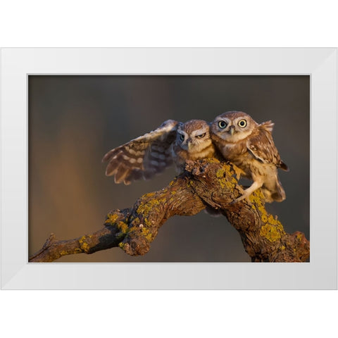 Sweet Couple White Modern Wood Framed Art Print by Manusevich, David