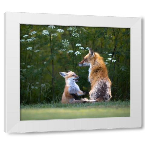 Mommy IM Hungry ! White Modern Wood Framed Art Print by Tseng, Judy