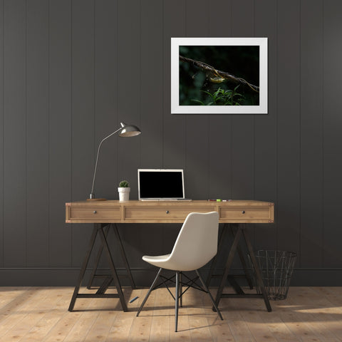 The Water Sipper White Modern Wood Framed Art Print by Chakraborty, Chiranjib