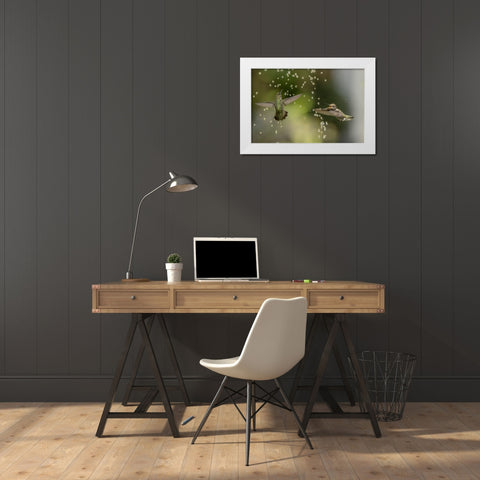 Summer Fun White Modern Wood Framed Art Print by Tseng, Judy