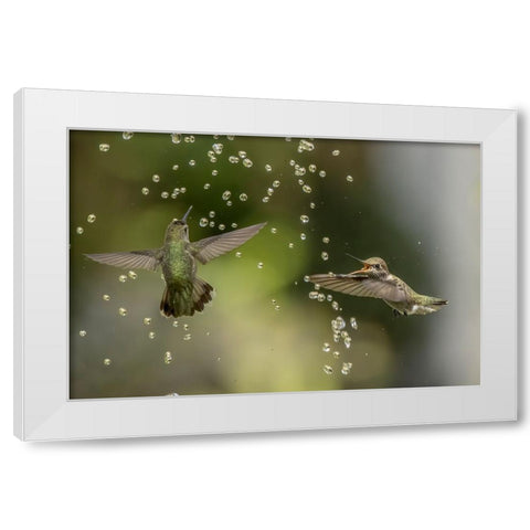 Summer Fun White Modern Wood Framed Art Print by Tseng, Judy