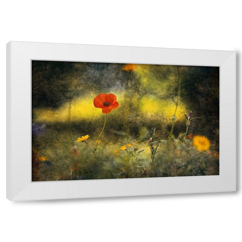 Poppy White Modern Wood Framed Art Print by Van Der, Jan