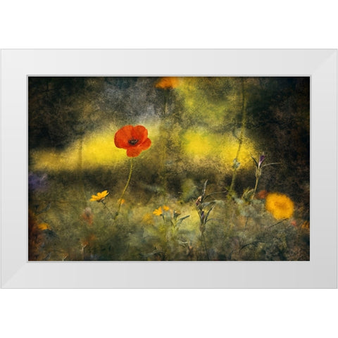Poppy White Modern Wood Framed Art Print by Van Der, Jan