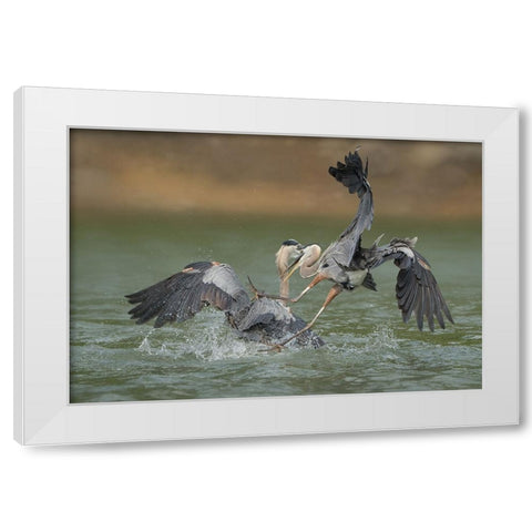 N/A White Modern Wood Framed Art Print by Li, Alex