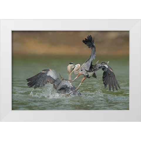 N/A White Modern Wood Framed Art Print by Li, Alex