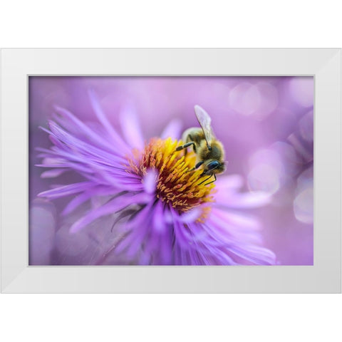 Hard Worker White Modern Wood Framed Art Print by Kazun, Andrii