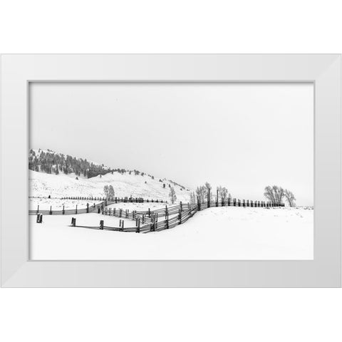 After Snow White Modern Wood Framed Art Print by Xie, Louise