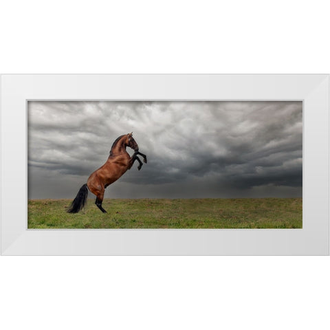 The king of the fields White Modern Wood Framed Art Print by Weerink, Celine