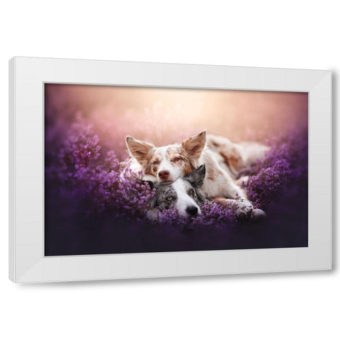 Fluffy Pillow White Modern Wood Framed Art Print by Shandor, Ve