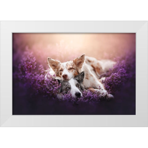 Fluffy Pillow White Modern Wood Framed Art Print by Shandor, Ve