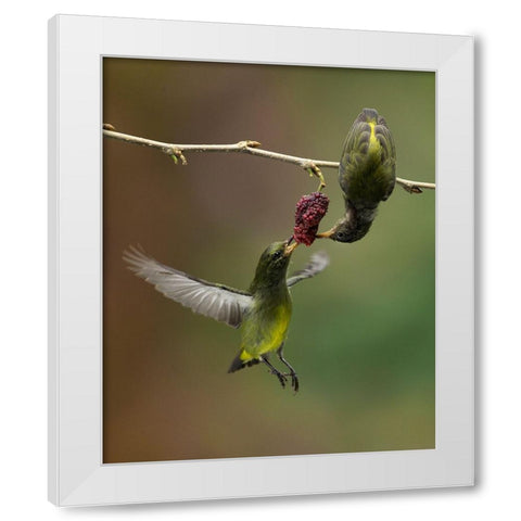 Share White Modern Wood Framed Art Print by Muliani Hartojo, Angela