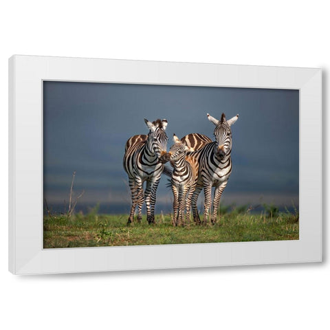 Family Portrait White Modern Wood Framed Art Print by Ortega, Xavier