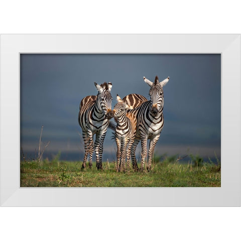 Family Portrait White Modern Wood Framed Art Print by Ortega, Xavier