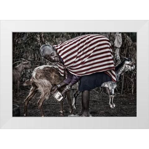 Ilchamus Tribe Woman Milking A Goat - Kenya White Modern Wood Framed Art Print by Inazio Kuesta, Joxe
