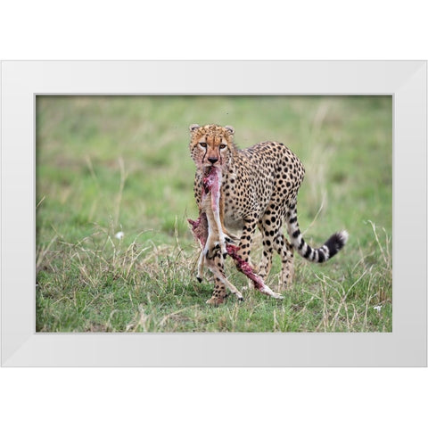 Kill White Modern Wood Framed Art Print by Pozzi, Marco