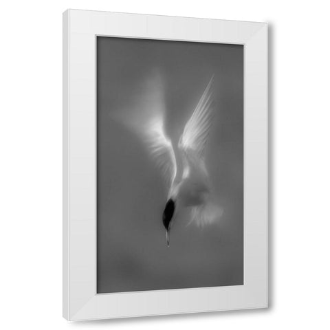 Searching White Modern Wood Framed Art Print by Zhang, Mei