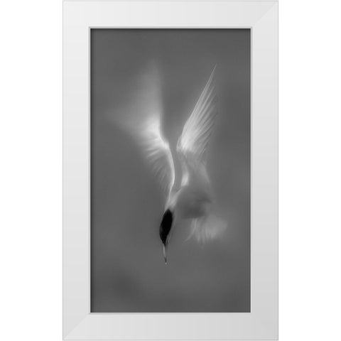 Searching White Modern Wood Framed Art Print by Zhang, Mei