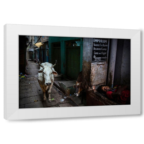 Interludes IV - A Photo Collection White Modern Wood Framed Art Print by Steverson, Michael