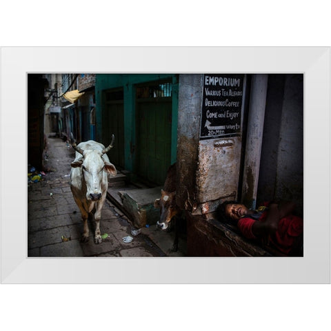 Interludes IV - A Photo Collection White Modern Wood Framed Art Print by Steverson, Michael