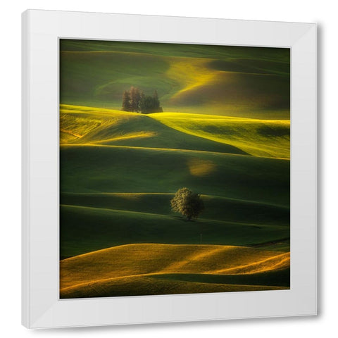 Golden Hours Of The Palouse White Modern Wood Framed Art Print by Zhang, Joan