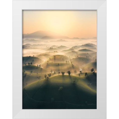 Long Coc Tea Hill White Modern Wood Framed Art Print by Tan Tuan, Nguyen