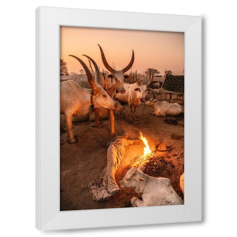 My Resting Place White Modern Wood Framed Art Print by Cole, Trevor