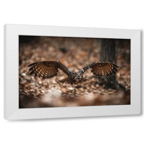 The Eurasian Eagle-Owl (Bubo Bubo) White Modern Wood Framed Art Print by Rozehnal, Jan