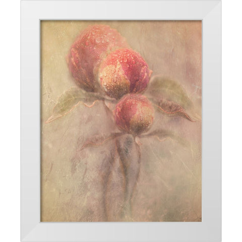 Peonies White Modern Wood Framed Art Print by Zvinakeviciute, Kristina