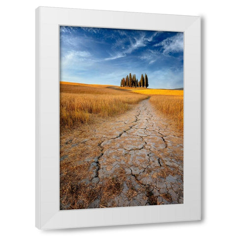 Path Of Cracks White Modern Wood Framed Art Print by Hatch, Richie