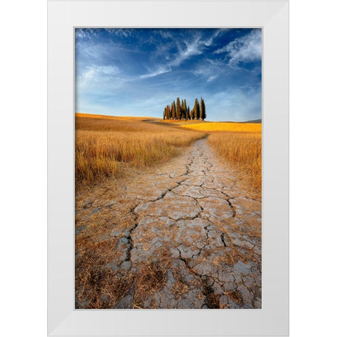 Path Of Cracks White Modern Wood Framed Art Print by Hatch, Richie