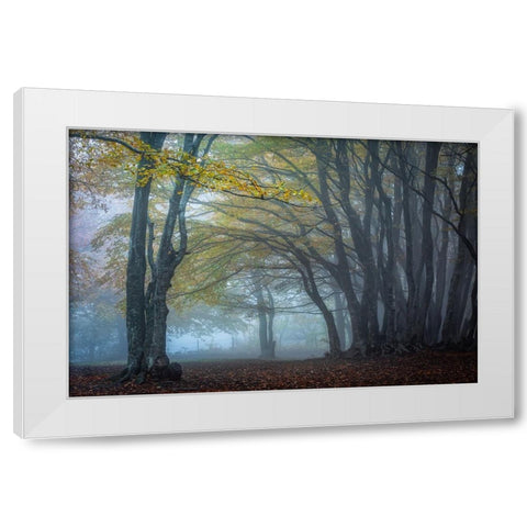 Trees In The Fog White Modern Wood Framed Art Print by Barboni, Sergio