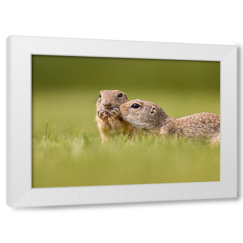 Together White Modern Wood Framed Art Print by And Wei, Siyu