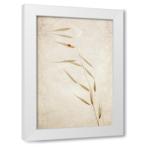 The Tenant White Modern Wood Framed Art Print by Kiral, Cicek