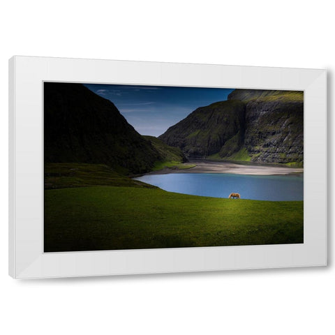 Lonely White Modern Wood Framed Art Print by Zhang, Dennis