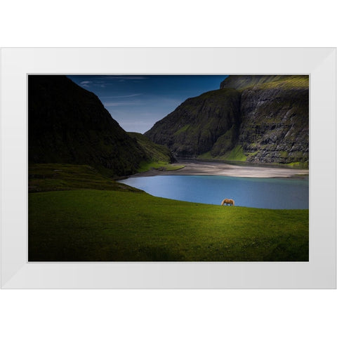 Lonely White Modern Wood Framed Art Print by Zhang, Dennis