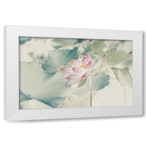 Pictorial_Lotus White Modern Wood Framed Art Print by Liu, Yanny